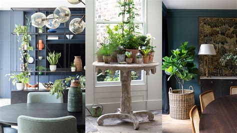 How to Incorporate Plants in Your Living Room Decor